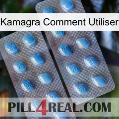 Kamagra How To Use viagra4